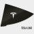 Tesla Logo Cutout 